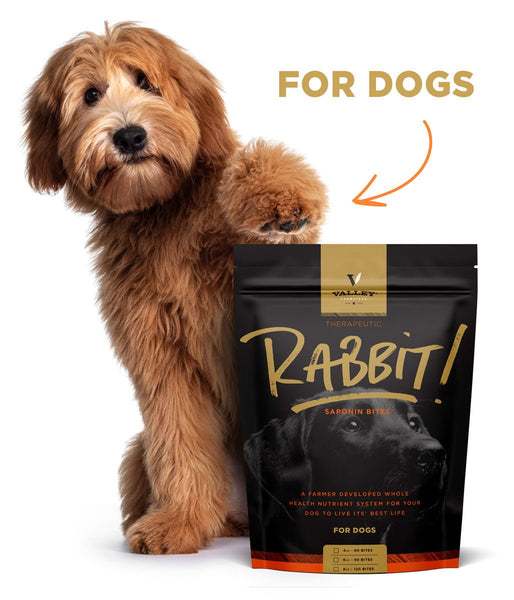 Rabbit Saponin Bites™ For Dogs - Saponin Bites™ by Valley Farmstead
